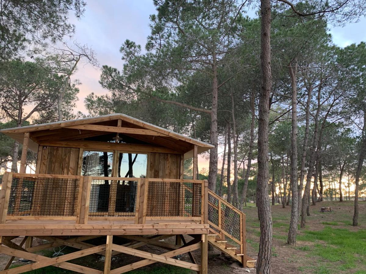 Camping la Tamarissière Agde Esterno foto